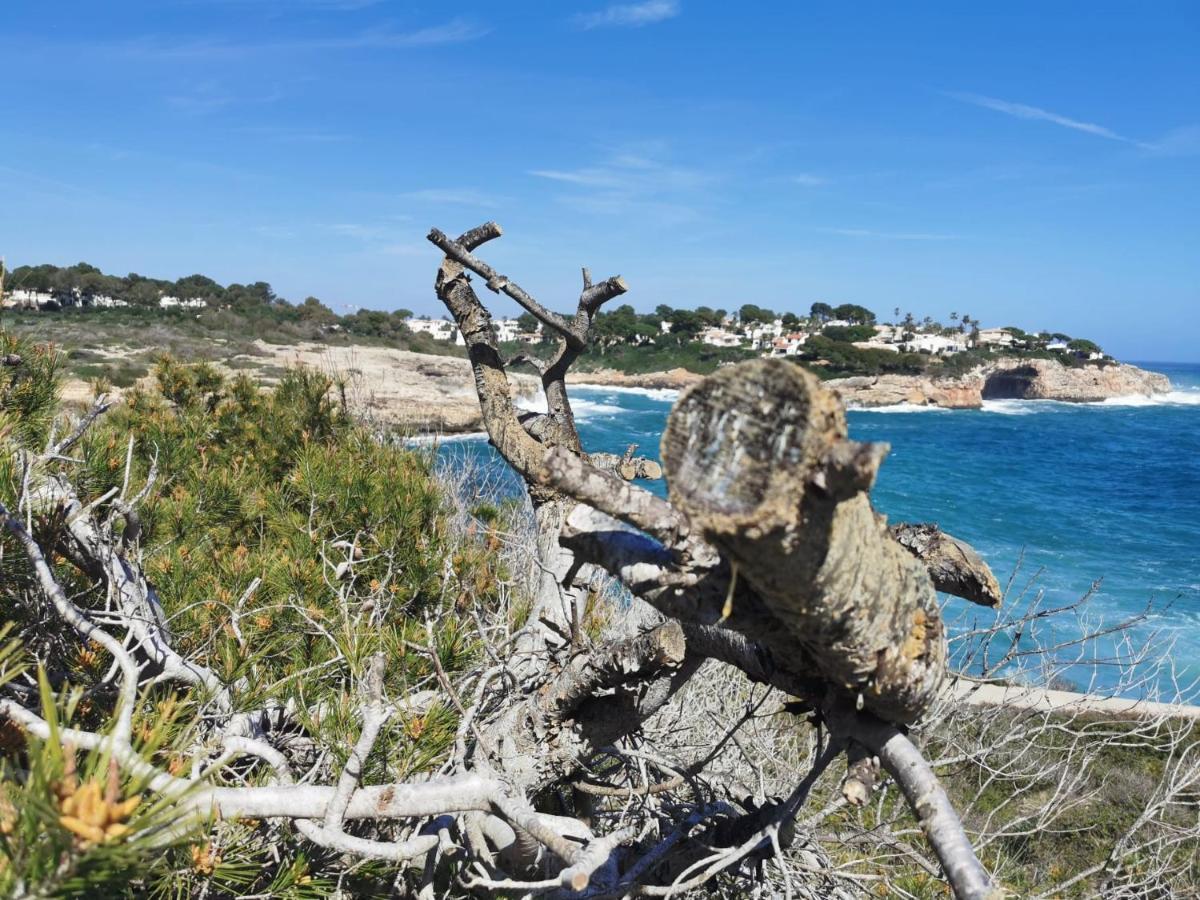 Finca Sa Fuente Felanitx Kültér fotó